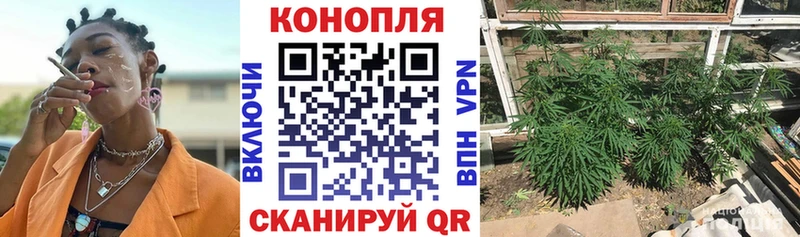Наркотические вещества Иваново kraken как войти  КОКАИН  Alpha-PVP 