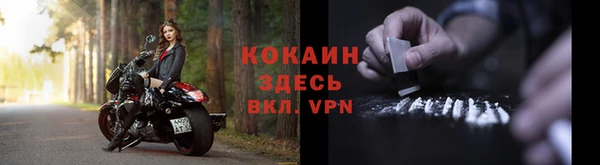 спиды Дмитриев