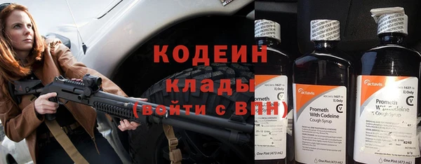 спиды Дмитриев