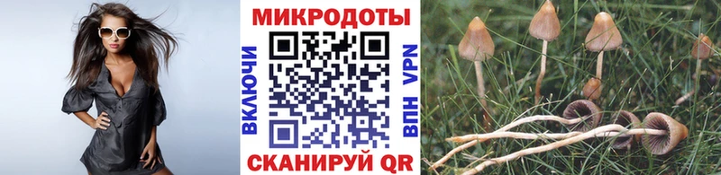 mega   где купить наркотик  Иваново  Галлюциногенные грибы Psilocybine cubensis 